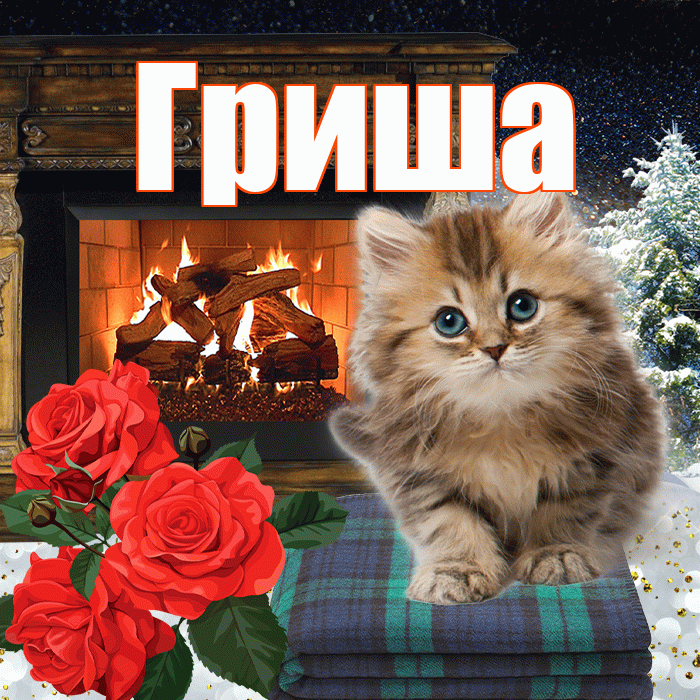 Гриша! Добрый зимний вечер! Красивая открытка Грише!
