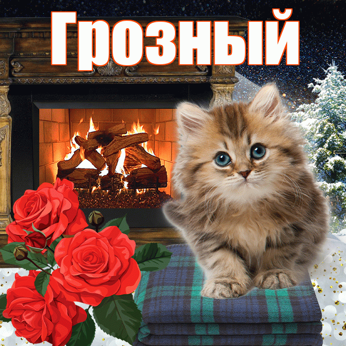 Грозный! Добрый зимний вечер! Красивая открытка Грозныю!
