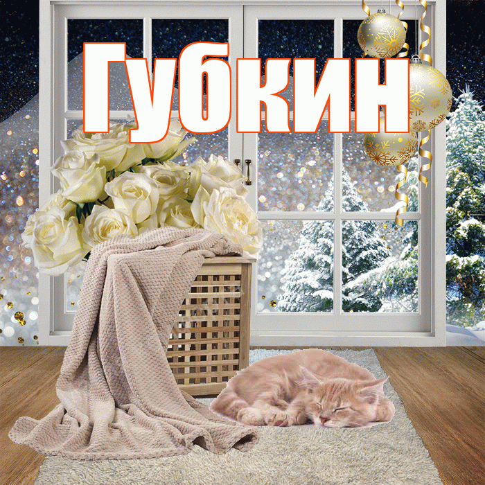 Губкин! Добрый зимний вечер! Красивая открытка Губкину!