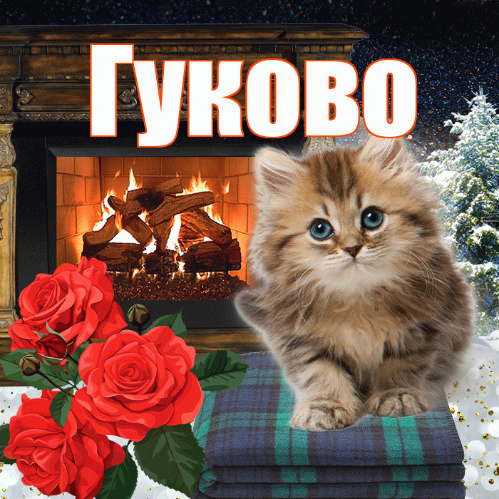 Гуково! Добрый зимний вечер! Красивая открытка Гуково!