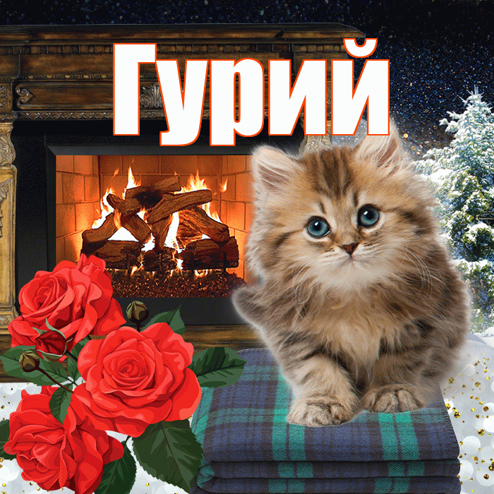 Гурий! Добрый зимний вечер! Красивая открытка Гурию!