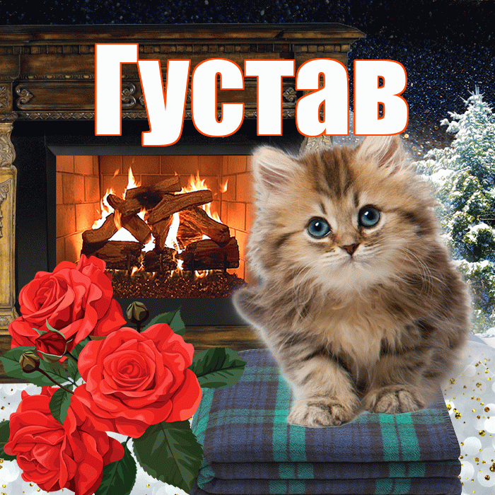 Густав! Добрый зимний вечер! Красивая открытка Густаву!