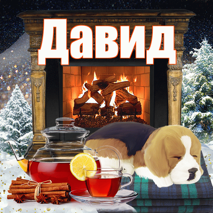 Давид! Добрый зимний вечер! Красивая открытка Давиду!