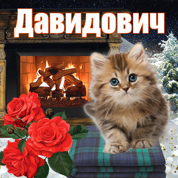 Давидович! Добрый зимний вечер! Красивая открытка Давидовичу!