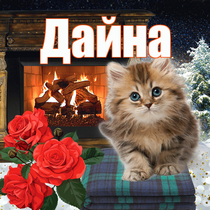Дайна! Добрый зимний вечер! Красивая открытка Дайне!