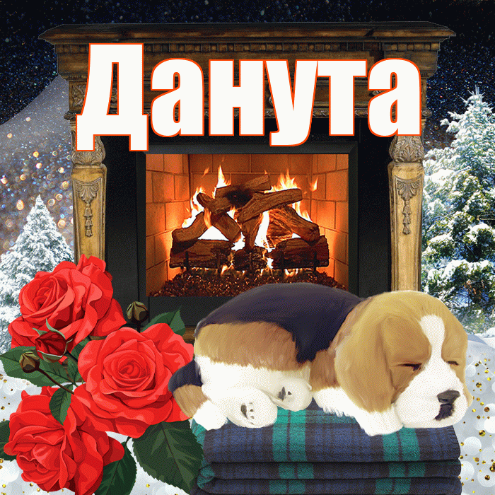 Данута! Добрый зимний вечер! Красивая открытка Дануте!
