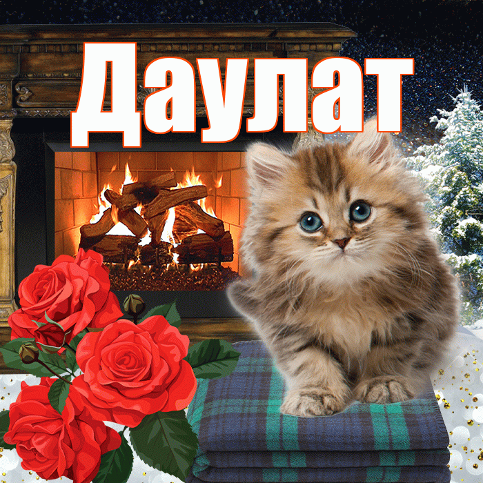 Даулат! Добрый зимний вечер! Красивая открытка Даулату!