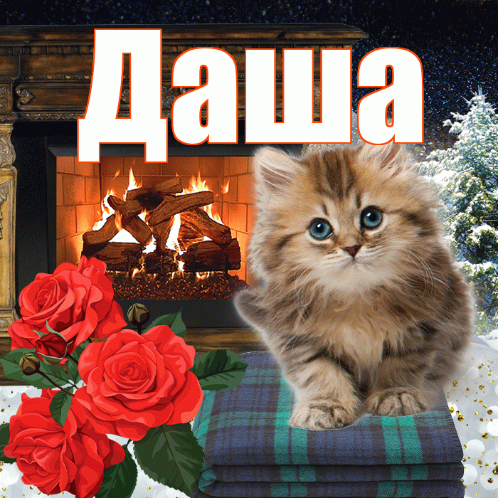 Даша! Добрый зимний вечер! Красивая открытка Даше!