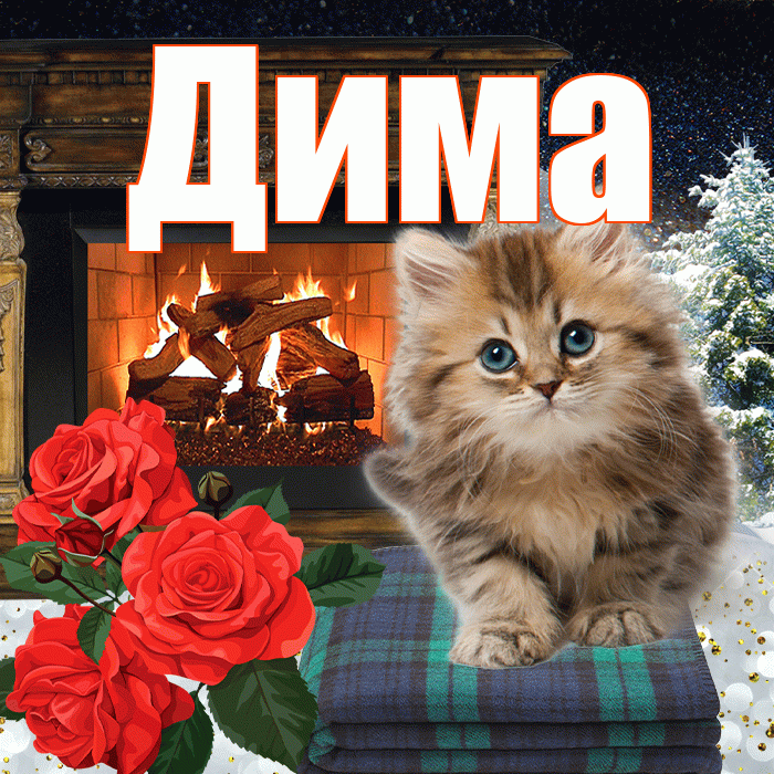 Дима! Добрый зимний вечер! Красивая открытка Диму!