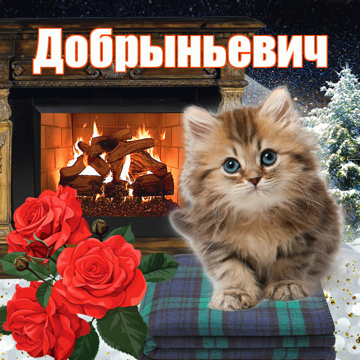 Добрыньевич! Добрый зимний вечер! Красивая открытка Добрыньевичу!