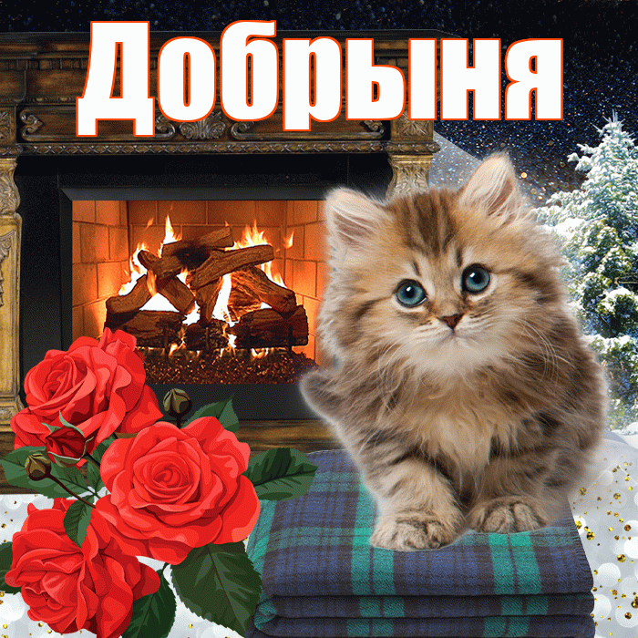Добрыня! Добрый зимний вечер! Красивая открытка Добрыне!