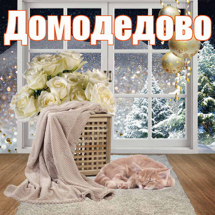 Домодедово! Добрый зимний вечер! Красивая открытка Домодедово!