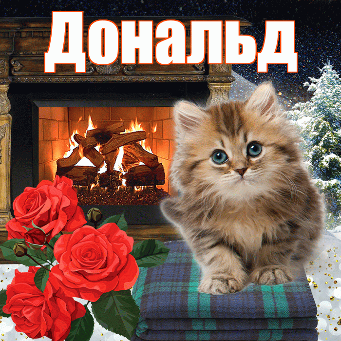 Дональд! Добрый зимний вечер! Красивая открытка Дональду!
