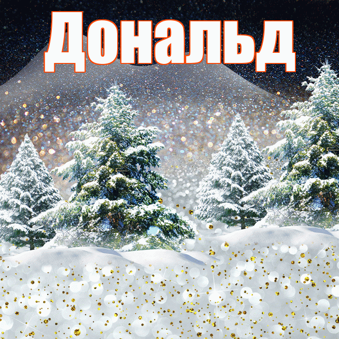 Дональд! Добрый зимний вечер! Красивая открытка Дональду!