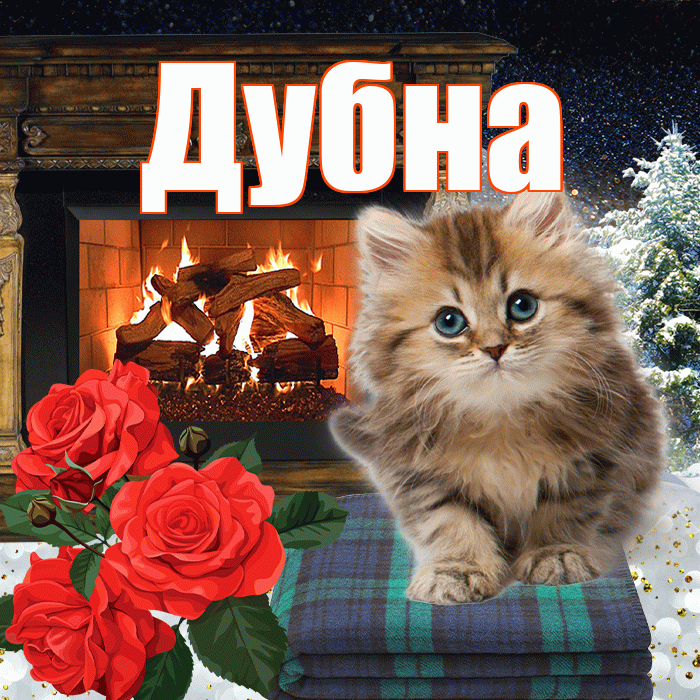 Дубна! Добрый зимний вечер! Красивая открытка Дубне!