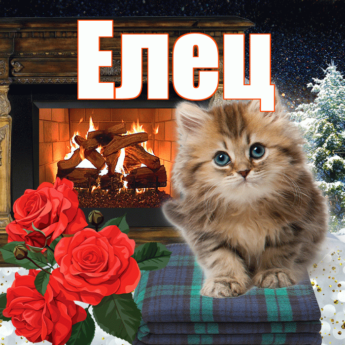 Елец! Добрый зимний вечер! Красивая открытка Елецу!