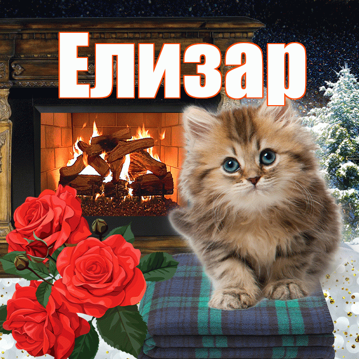 Елизар! Добрый зимний вечер! Красивая открытка Елизару!