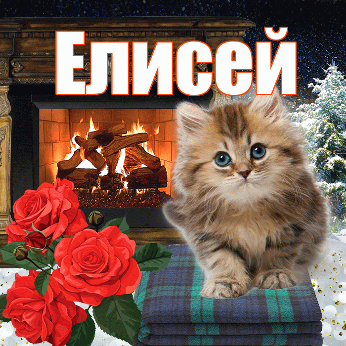 Елисей! Добрый зимний вечер! Красивая открытка Елисею!