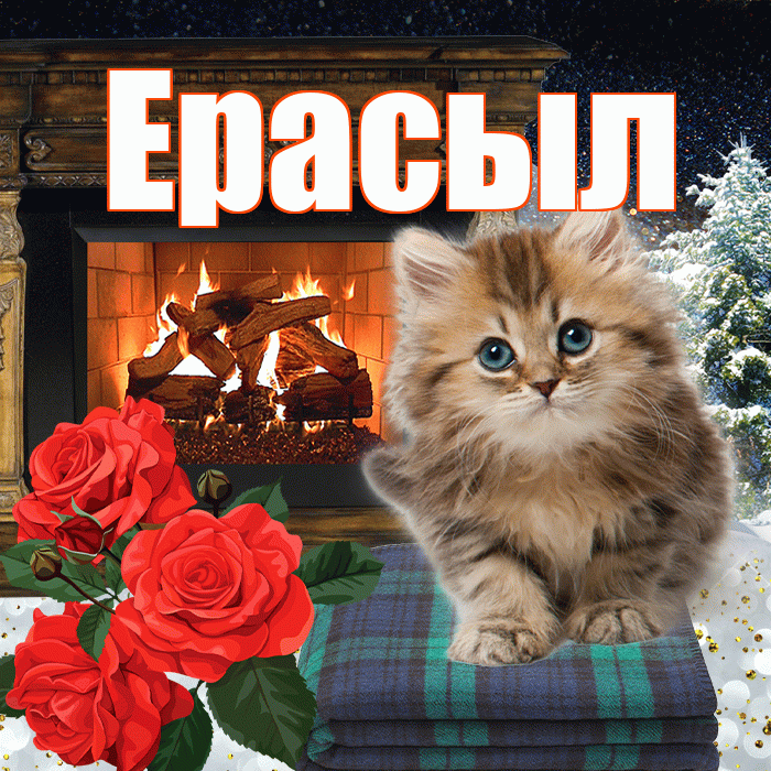 Ерасыл! Добрый зимний вечер! Красивая открытка Ерасылу!