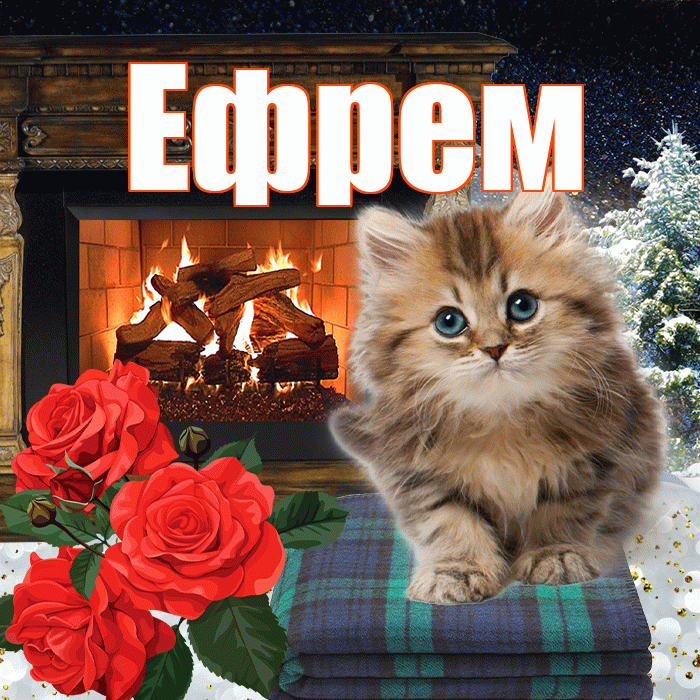 Ефрем! Добрый зимний вечер! Красивая открытка Ефрему!