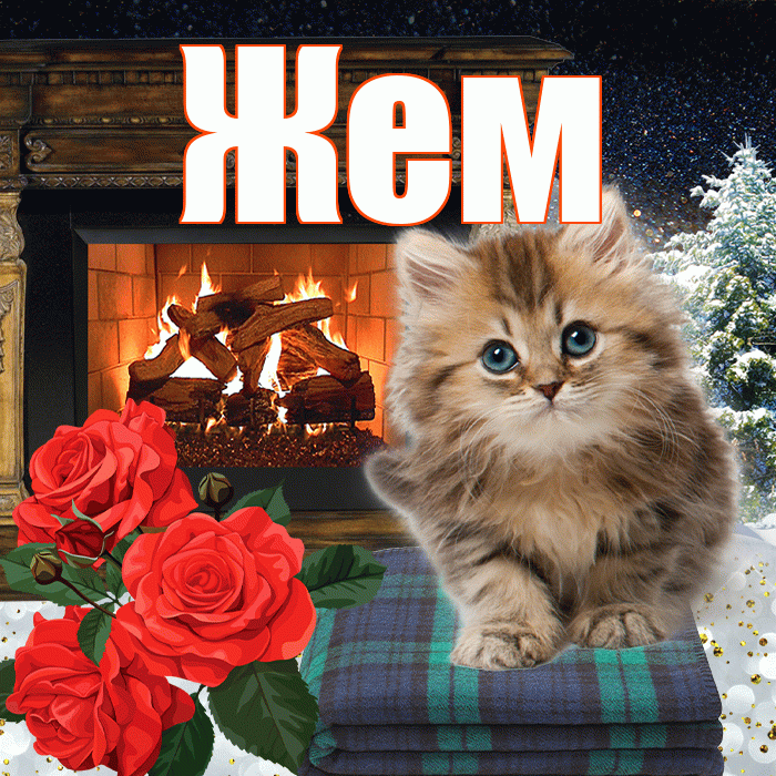 Жем! Добрый зимний вечер! Красивая открытка Жему!