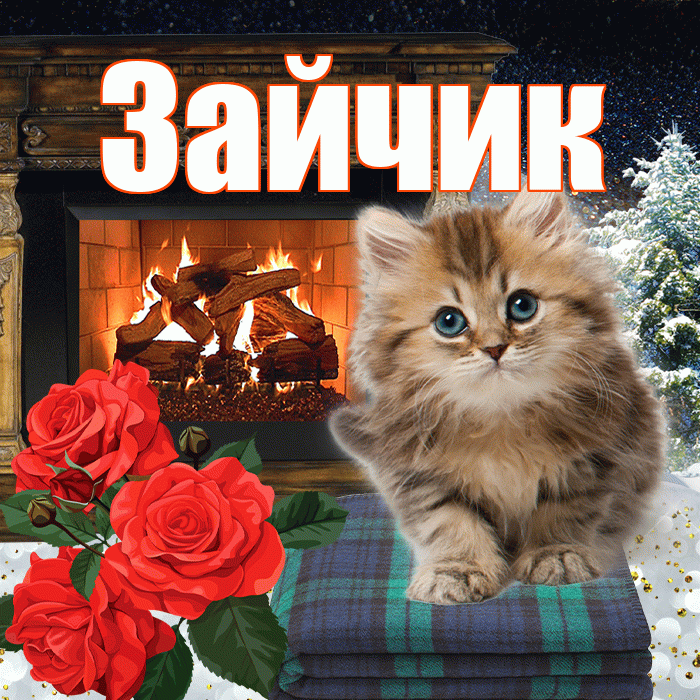 Зайчик! Добрый зимний вечер! Красивая открытка Зайчику!