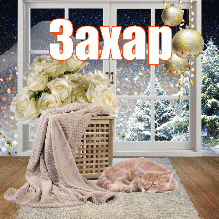 Захар! Добрый зимний вечер! Красивая открытка Захару!