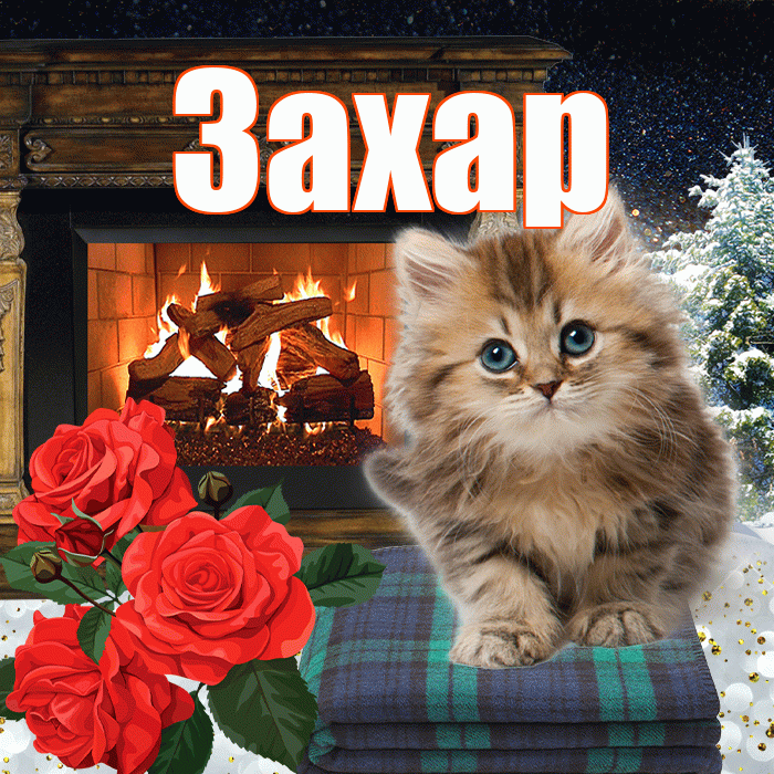 Захар! Добрый зимний вечер! Красивая открытка Захару!