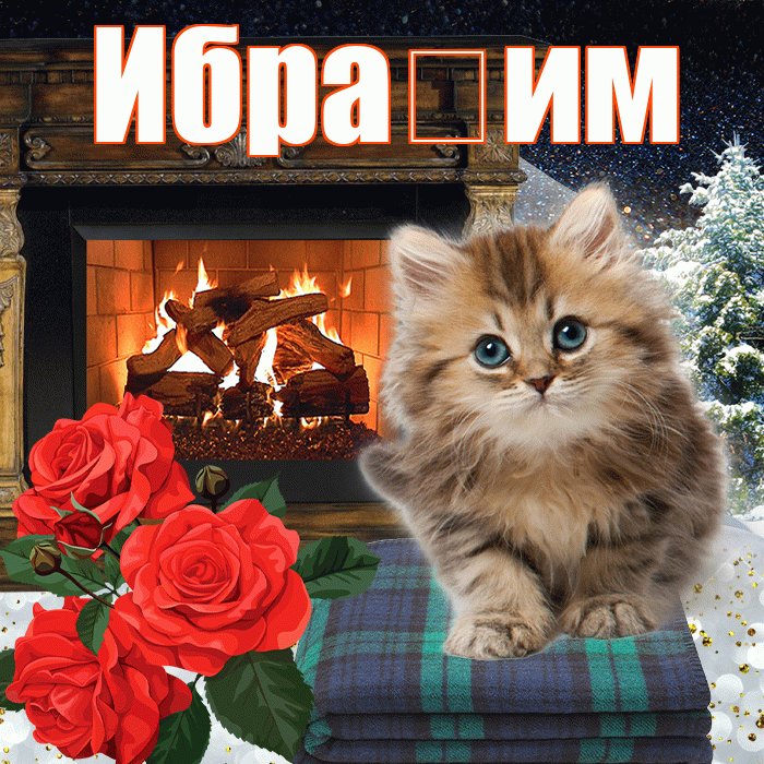 Ибра им! Добрый зимний вечер! Красивая открытка !