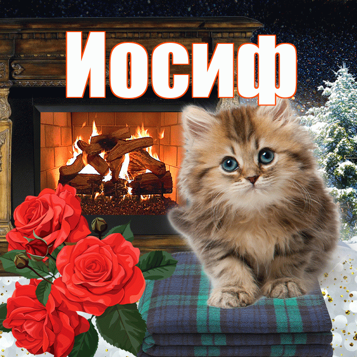 Иосиф! Добрый зимний вечер! Красивая открытка Иосифу!