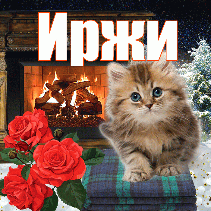 Иржи! Добрый зимний вечер! Красивая открытка Иржиевне!