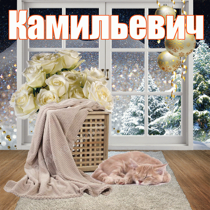 Камильевич! Добрый зимний вечер! Красивая открытка Камильевичу!