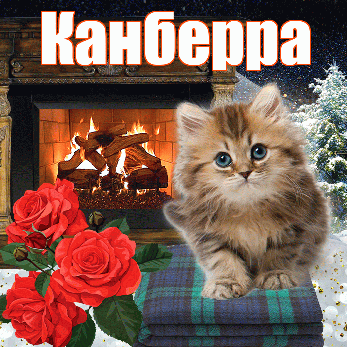 Канберра! Добрый зимний вечер! Красивая открытка Канберре!