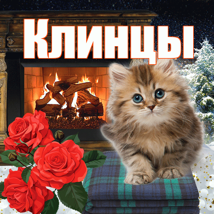 Клинцы! Добрый зимний вечер! Красивая открытка Клинцы!