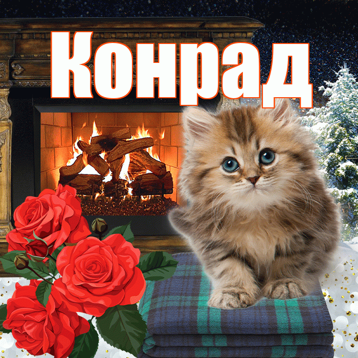 Конрад! Добрый зимний вечер! Красивая открытка Конраду!
