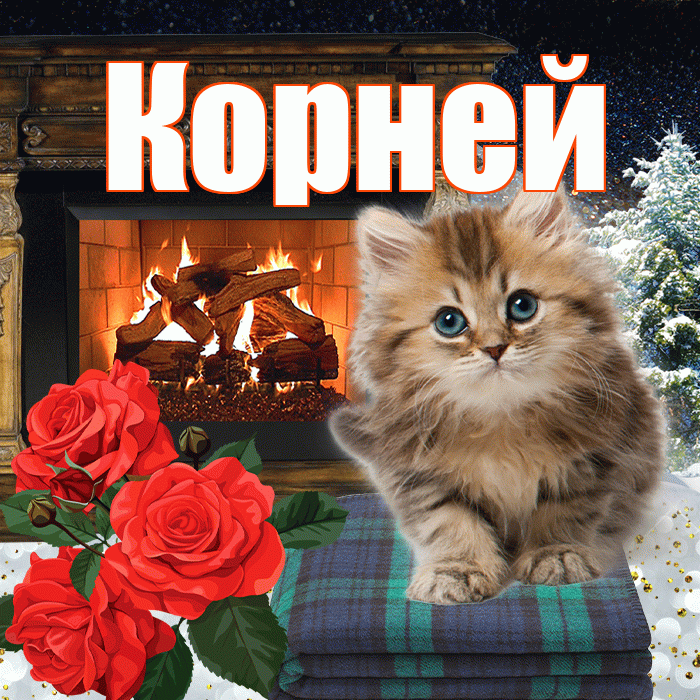 Корней! Добрый зимний вечер! Красивая открытка Корнею!