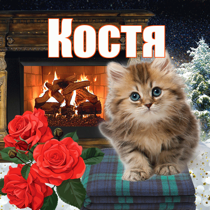 Костя! Добрый зимний вечер! Красивая открытка Косте!