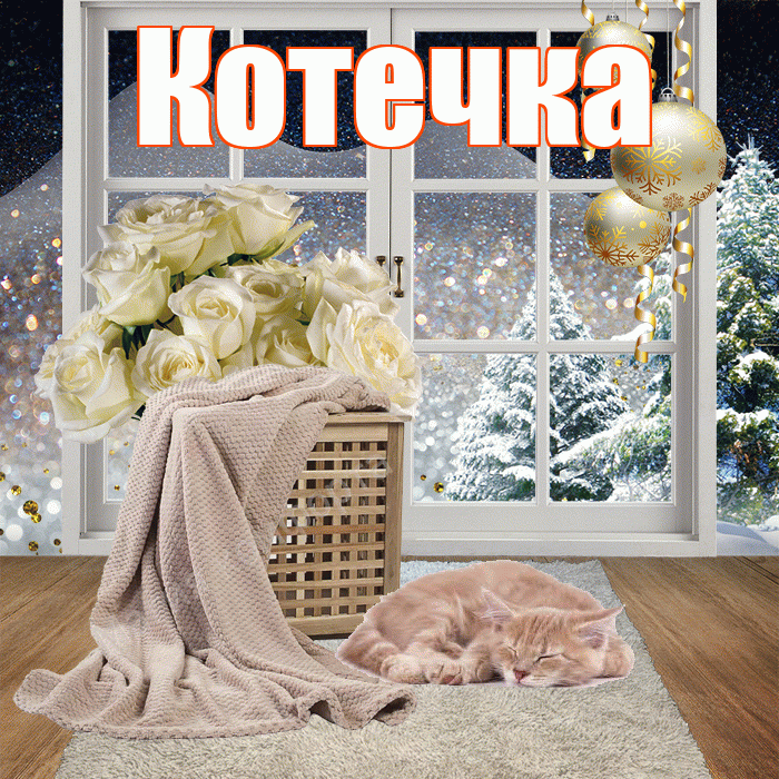 Котечка! Добрый зимний вечер! Красивая открытка !