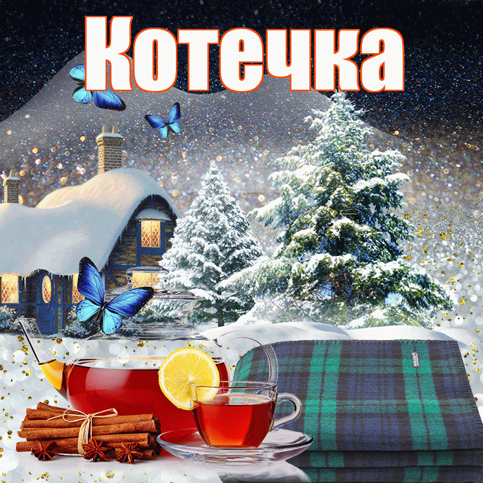 Котечка! Добрый зимний вечер! Красивая открытка !