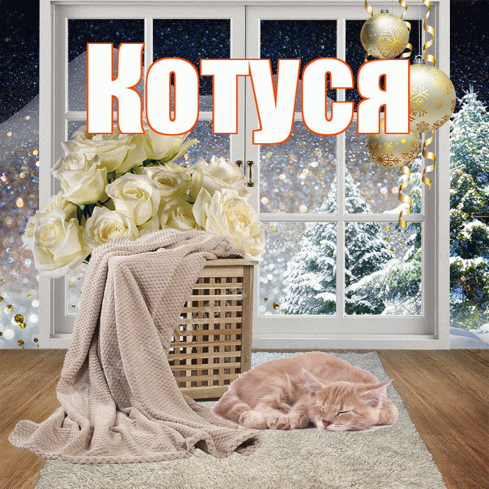 Котуся! Добрый зимний вечер! Красивая открытка Котусе!
