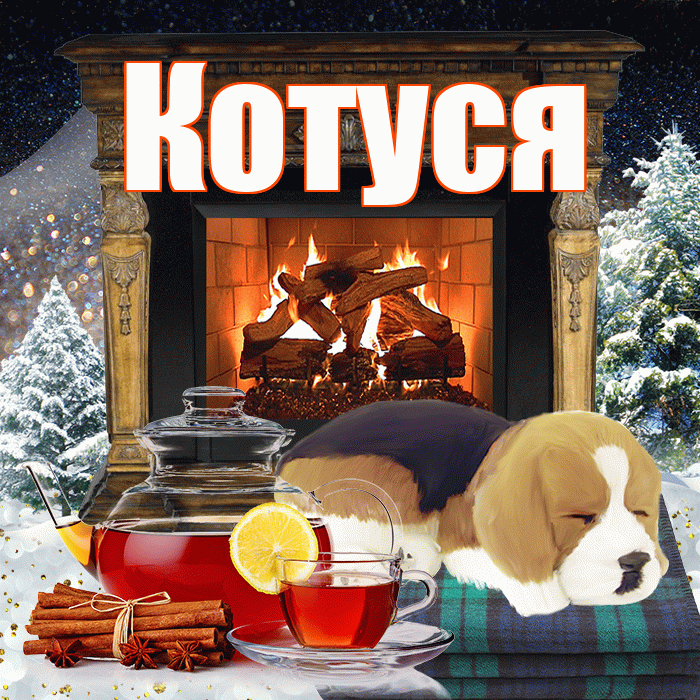 Котуся! Добрый зимний вечер! Красивая открытка Котусе!