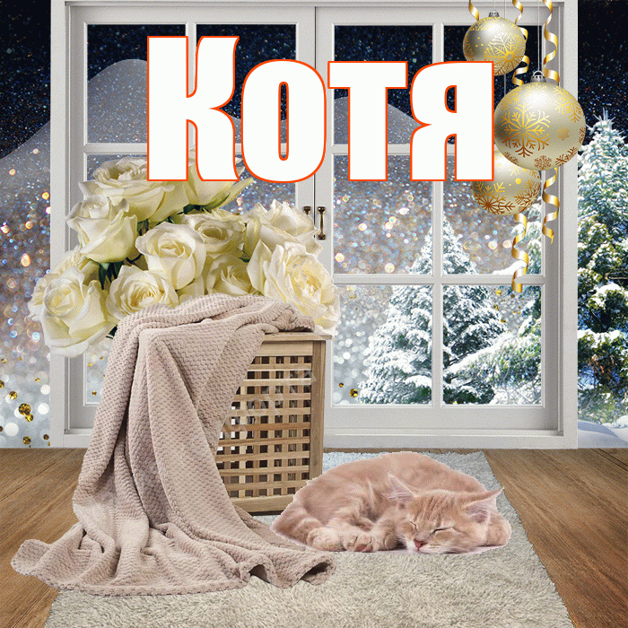 Котя! Добрый зимний вечер! Красивая открытка Коте!
