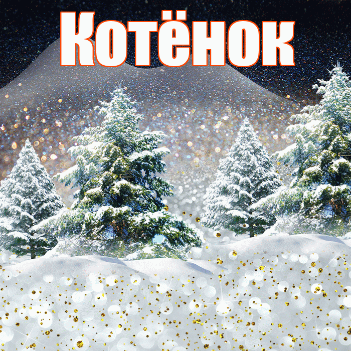 Котёнок! Добрый зимний вечер! Красивая открытка !