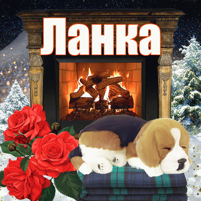 Ланка! Добрый зимний вечер! Красивая открытка !