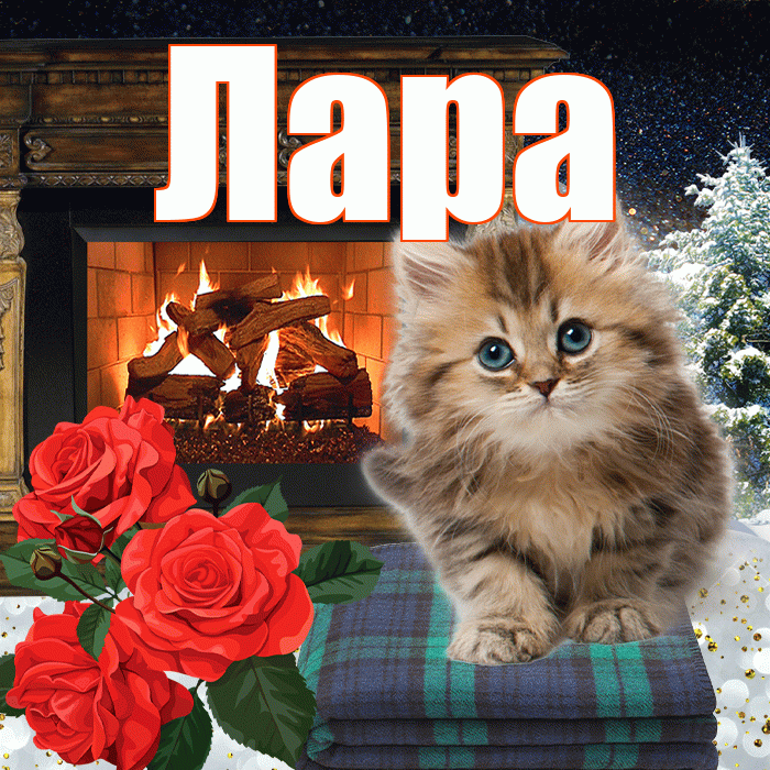 Лара! Добрый зимний вечер! Красивая открытка Ларе!