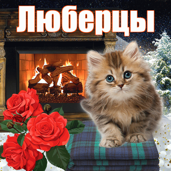 Люберцы! Добрый зимний вечер! Красивая открытка Люберцы!