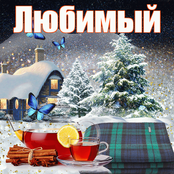 Любимый! Добрый зимний вечер! Красивая открытка Любимому!