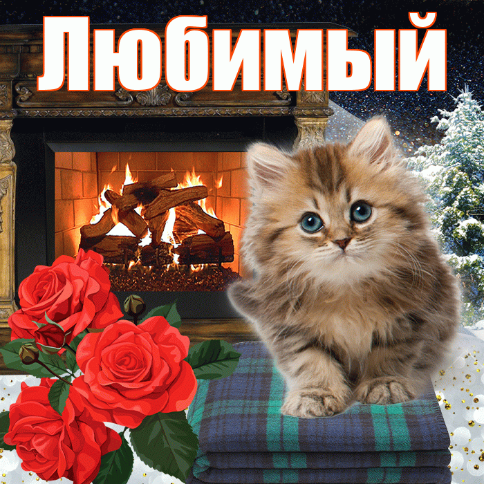 Любимый! Добрый зимний вечер! Красивая открытка Любимому!