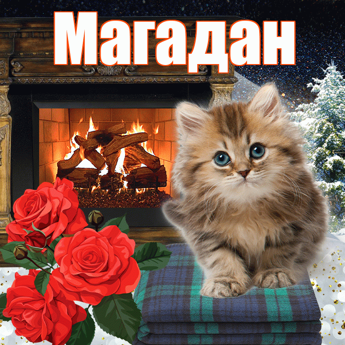 Магадан! Добрый зимний вечер! Красивая открытка Магадану!
