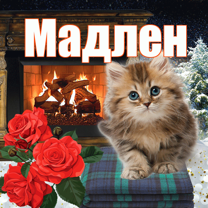 Мадлен! Добрый зимний вечер! Красивая открытка Мадлене!